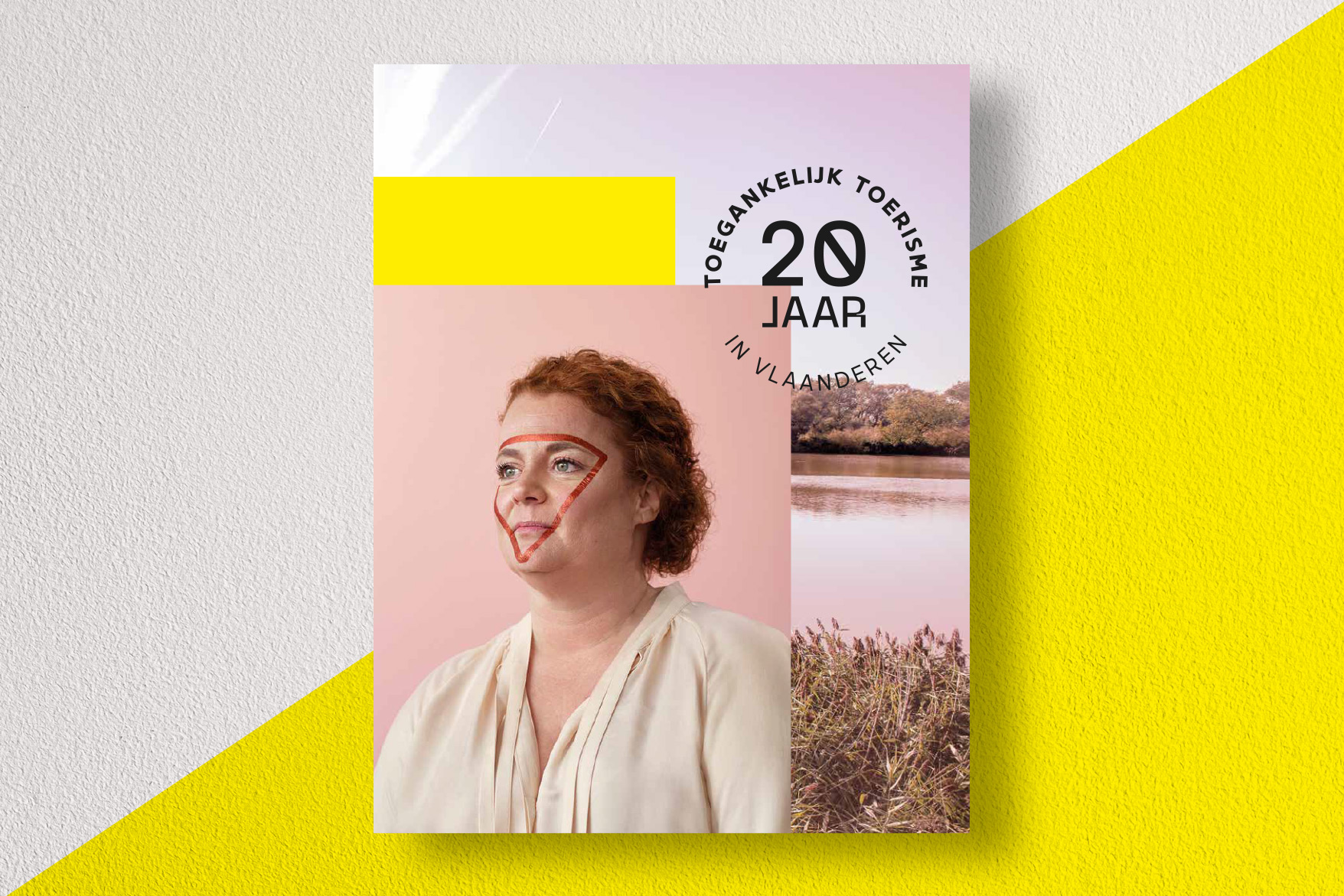 cover boek 20 jaar toegankelijkheid in Vlaanderen