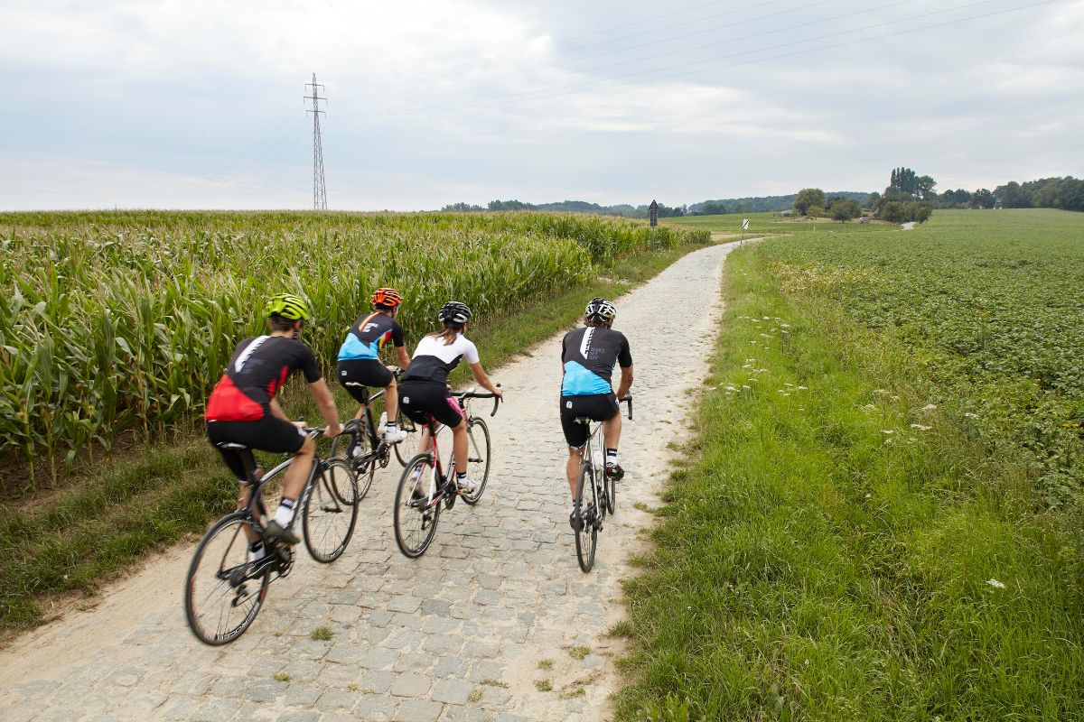 cycling in flanders