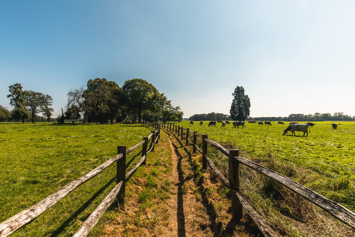 Weiden kasteel van Leut