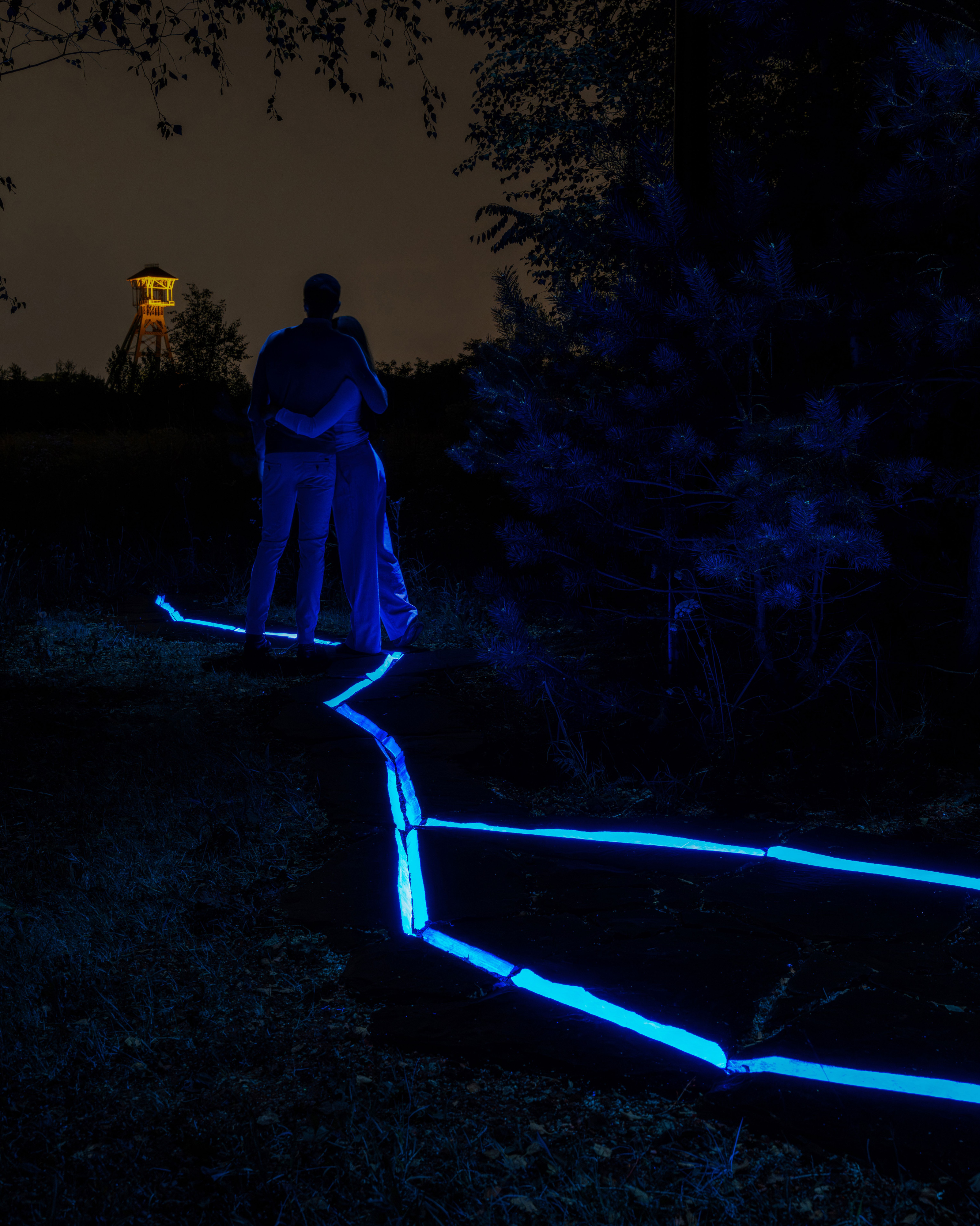 Lichtsporen Roosegaarde in Thor Park.