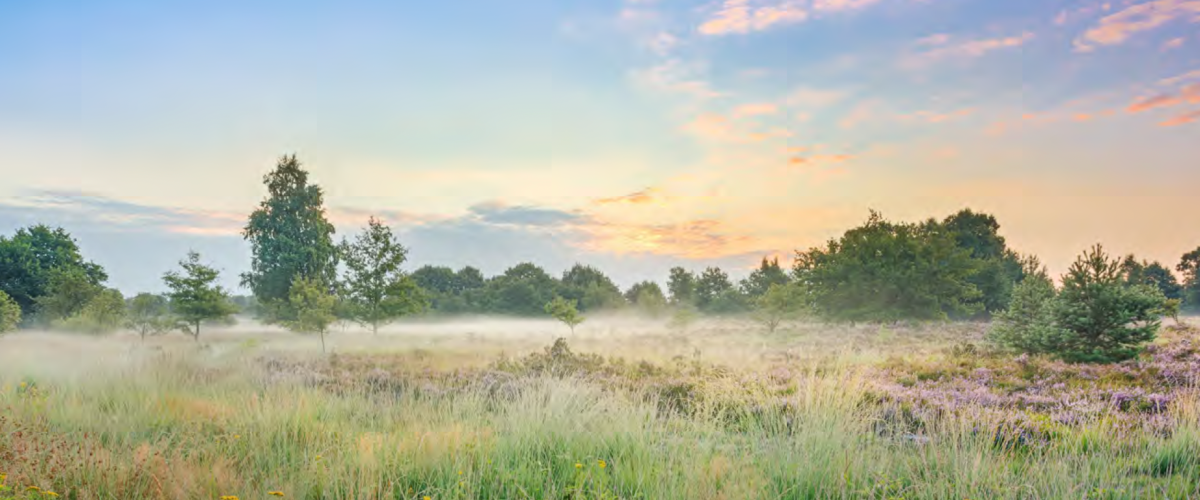 Duurzaamheid Website header image of romantic field side